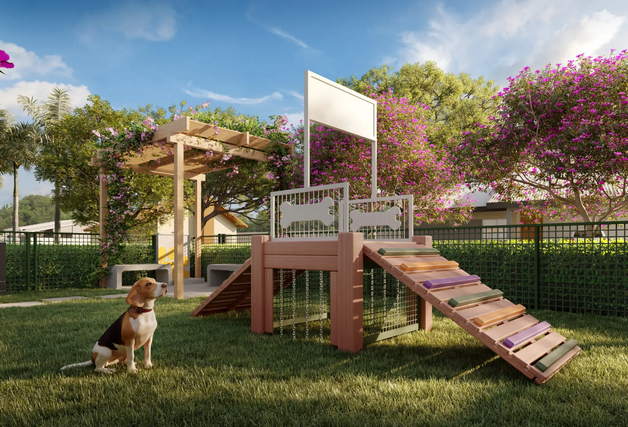 STM_IMG_LT_EXE_DT_F007_PET-PLACE